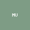 Direxion MU Bull 2X ETF (bStoc